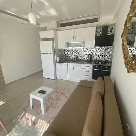 公寓 Mermaid Apartment 费特希耶